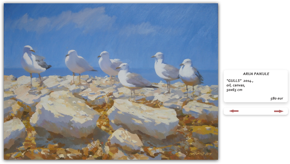 Gulls
